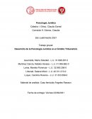 Desarrollo de la Psicología Jurídica en el Ámbito Tribunalicio