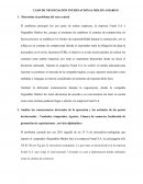CASO DE NEGOCIACIÓN INTERNACIONAL MELÓN AMARGO