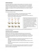 GENÉTICA MOLECULAR