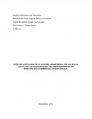 NIVEL DE ACEPTACION DE UN VINAGRE AROMATIZADO CON AJO