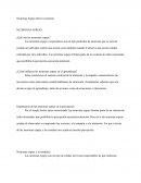 Neuronas Espejo (breve resumen)