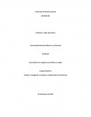 Indagando conceptos básicos