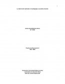 La observación aplicada en la pedagogía y la práctica docente
