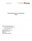 Analisis empresa TIka