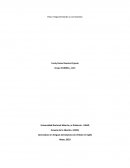 Unidad 2– Paso 4– Argumentando y concluyendo