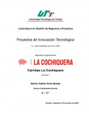 Diagnóstico Organizacional La Cochiquera
