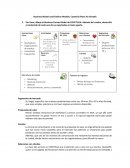 COVATELLA- Caso de estudio