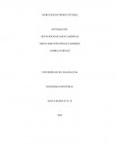 Ejercicios de productividad