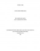 CALCULOS DE PRODUCTIVIDAD Y PUNTO DE EQUILIBRIO