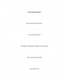 Brecha Digital Mundial