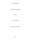 HERRAMIENTAS INDIVIDUALES