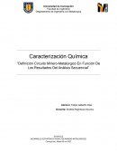 Definición circuito minero-metalúrgico en función de los resultados del análisis secuencial