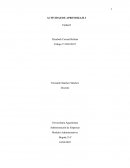 Modelos Administrativos