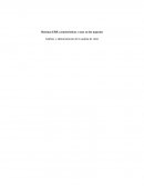 Sistemas ERP, características y usos en los negocios