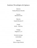 Objetivos del Capital Humano