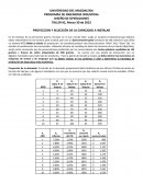 Taller planeacion de capacidad