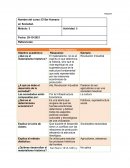 El ser humano en sociedad