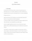 Sistemas (Empresa de juguetes)