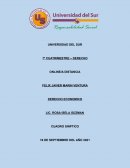 CARACTERISTICAS DEL DERECHO ECONOMICO