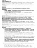 Secuencia didactica bingo