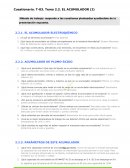 EL ACUMULADOR ELECTROQUÍMICO