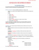 Aparato respiratorio