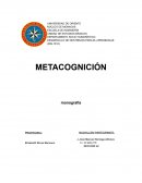 Metacongnicion