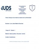 Historia natural de la enfermedad