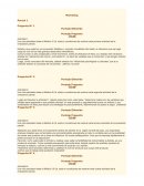 Parcial 1 arquitectura martillero ubp