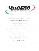 Actividad 1 Dimensiones del hombre