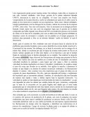 Análisis crítico del video La Meta