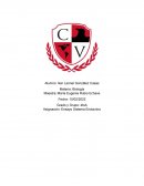 Ensayo Sistema Endocrino