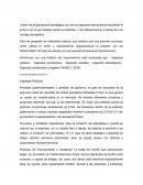 Análisis del Macroentorno Aspectos Políticos