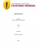 Morfofisiologia Caso 1