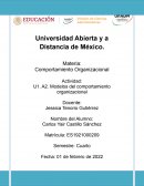 U1. A2. Modelos del comportamiento organizacional