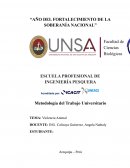 Ensayo Violencia Animal