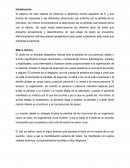 Reporte de entrevista psicológica