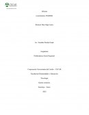 Informe-Cuestionario AMABIS