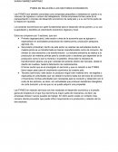 PYMES EN RELACIÓN A LOS SECTORES ECONÓMICOS