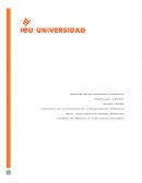 El lenguaje y la comunicación