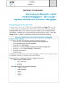 Informe intermedio de práctica pedagógica