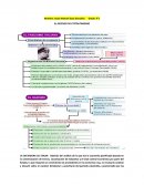 EL ASCENSO DEL TOTALITARISMO