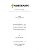 Auditoria de Estados Financieros INVERSIONES HELADAS SAS