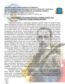 APLICACIÓN DE LOS ESTEREOTIPOS EN LA TENSIÓN GEOPOLÍTICA OTAN-EEUU-UCRANIA-FEDERACIÓN RUSA