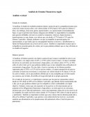 Análisis de estados financieros Apple