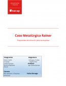 Caso Metalurgica Rainer