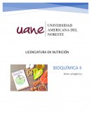 ¿En que consiste una dieta cetogénica?