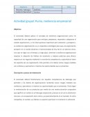 Actividad grupal: Puma, resiliencia empresarial