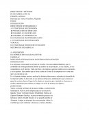 Direcciones y métodos de desarrollo de la empresa Adidas