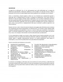 DESCRIPCION-MICROEMPRESA agencia de enfermería Luz